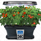 Miracle-Gro AeroGarden Ultra LED | $140 | Amazon